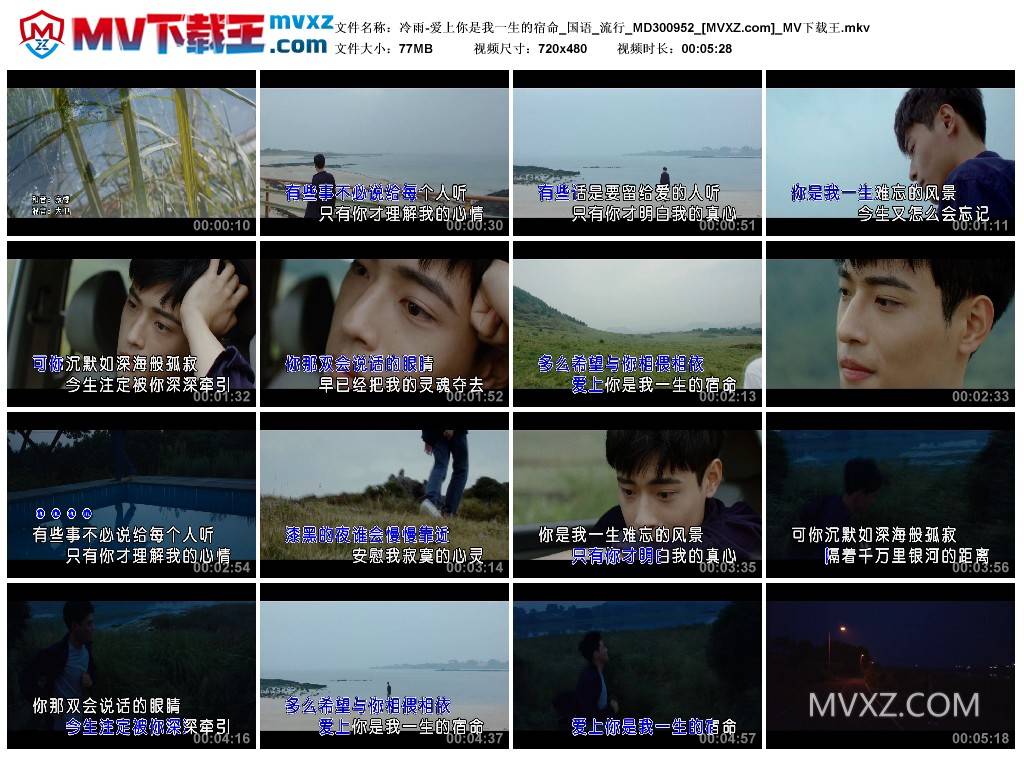 冷雨-爱上你是我一生的宿命_国语_流行_MD300952